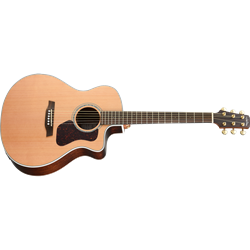 Walden G630CE Natura Acoustic-Electric Guitar