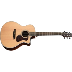 Walden G800CE Natura Acoustic-Electric Guitar