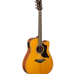 Acoustic-Electric Guitar