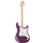 Fretted Instruments