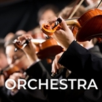 
						 Image of String Orchestra
