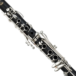 Bb Clarinets