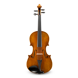 Viola