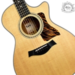 
							Image of Taylor 312ce Acoustic-Electric Guitar