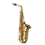 Yanagisawa Professional Alto Saxophone AW01