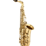 Eastman Step-Up Alto Saxophone EAS640GL