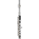 Jupiter JPC1000 Step-Up Piccolo