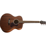 Walden G551E Natura Acoustic-Electric Guitar