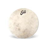 Evans Calftone Tom Drumhead