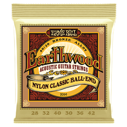 Ernie Ball Earthwood 80/20 Bronze Nylon Ball End Folk/Classical Guitar Strings - 28-42