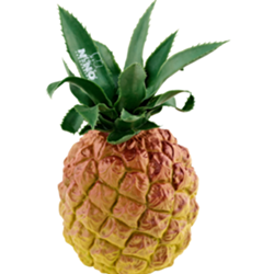 Meinl Pineapple Shaker - Nino NINO595