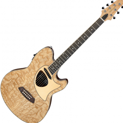 
							Image of Ibanez Talman Acoustic Electric Guitar TALMAN