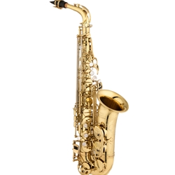 Eastman EAS650 Rue Saint Georges Step Up Alto Sax