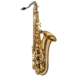 P. Mauriat LEBRAVO200T Step-Up Tenor Saxophone