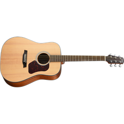 Walden D550E Natura Acoustic-Electric Guitar