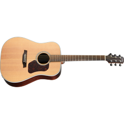 Walden D800E Natura Acoustic-Electric Guitar