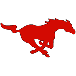 Munster Marching Mustangs