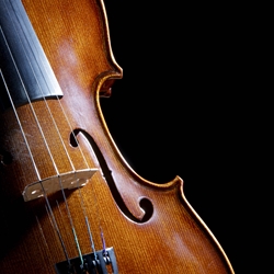 Orchestral Instruments